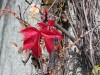 Hb 2013_Reutlingen 3